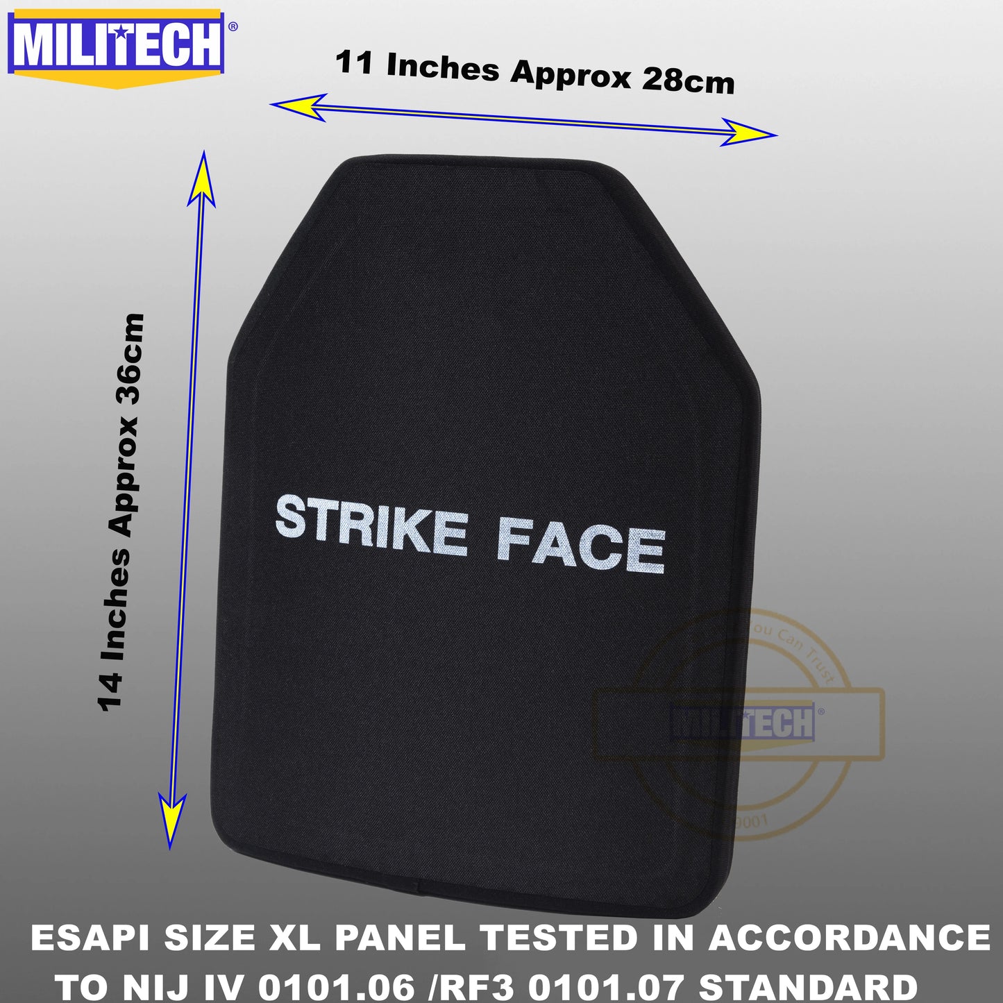 LVL 4 ESAPI Hard Armor (2 plates)